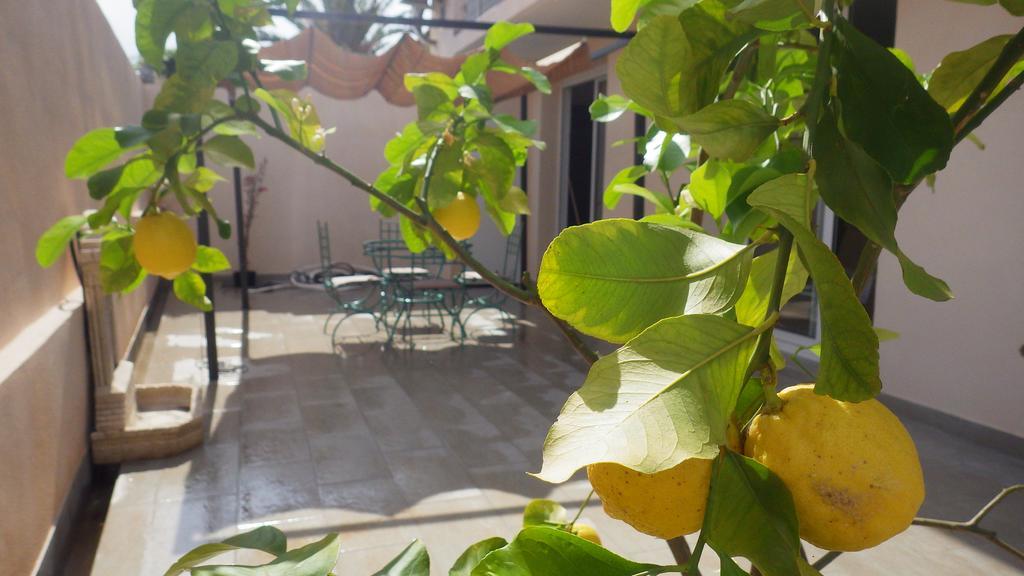Casa Di A Murza Calvi  Bagian luar foto